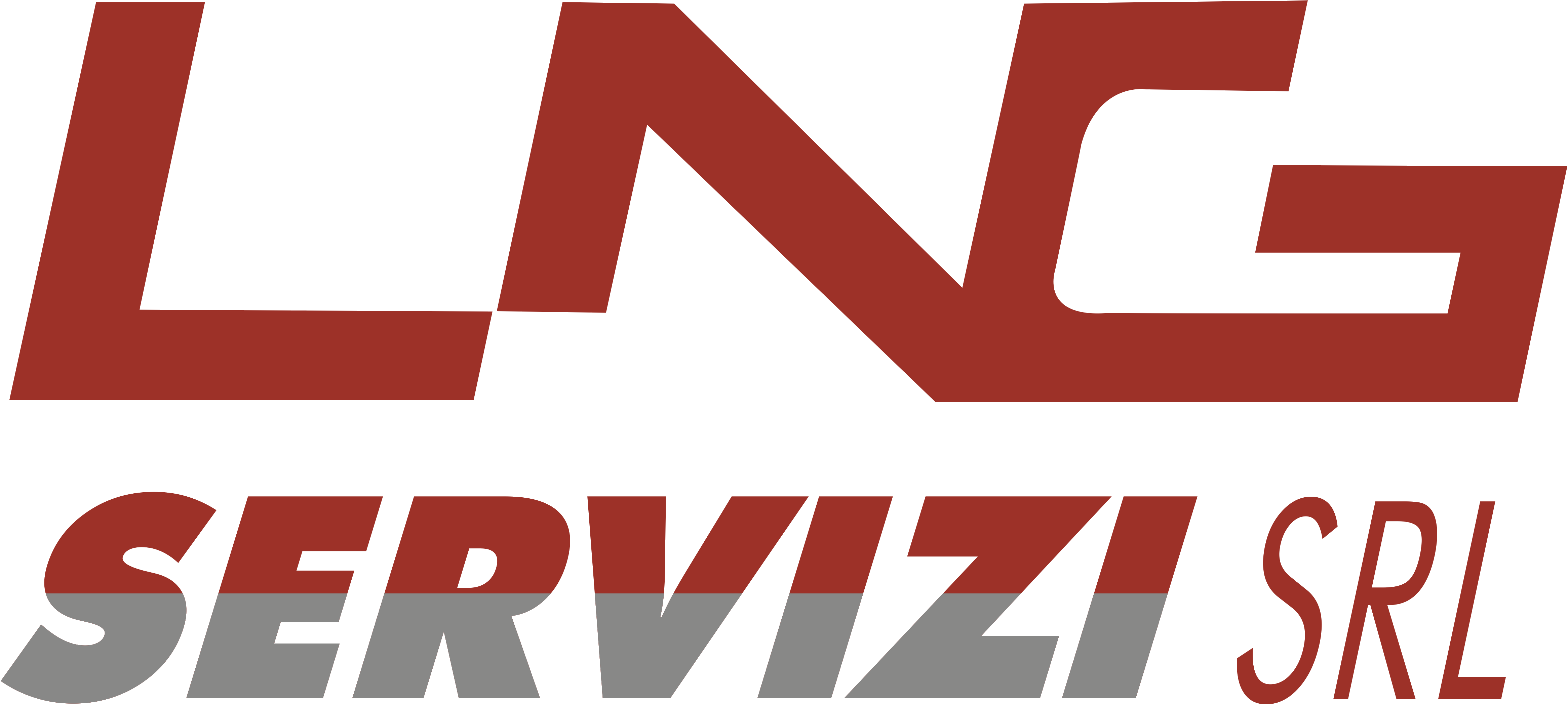 Lng Servizi Logo